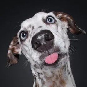 Meet your Posher, Elijah